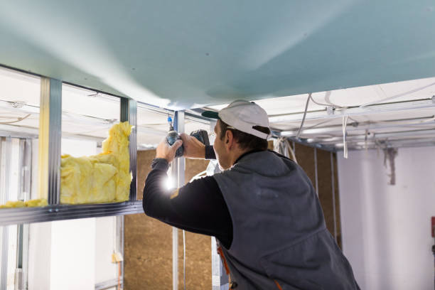 Best Cellulose Insulation  in Schoolcraft, MI