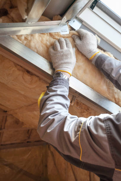 Best Insulation Removal  in Schoolcraft, MI