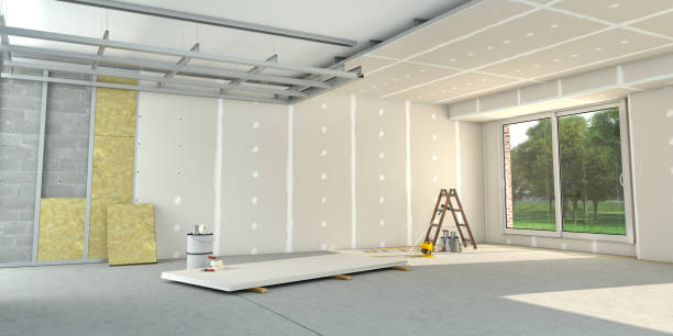 Best Insulation Removal  in Schoolcraft, MI