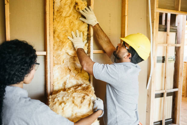 Best Home Insulation Services  in Schoolcraft, MI