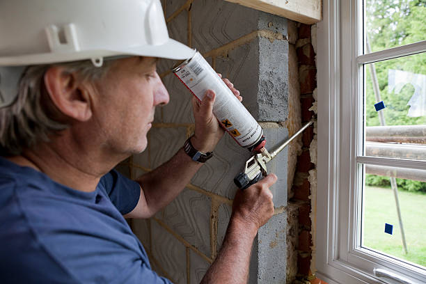 Best Affordable Insulation Services  in Schoolcraft, MI