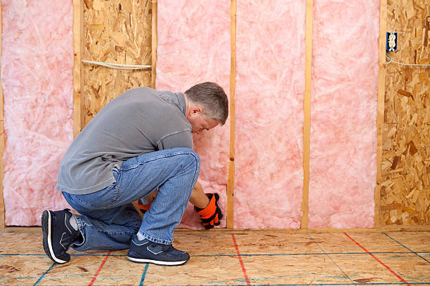 Best Professional Insulation Contractor  in Schoolcraft, MI