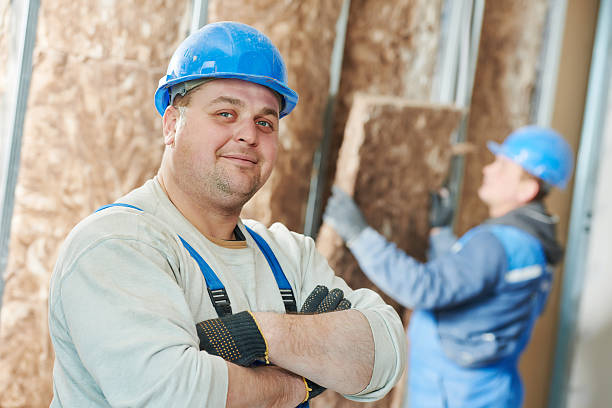 Best Insulation Repair Services  in Schoolcraft, MI